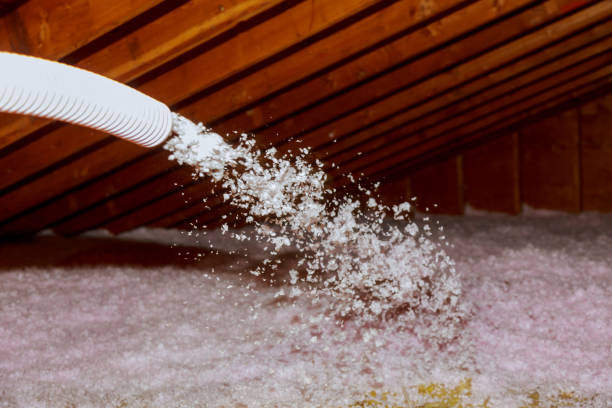 Insulation for New Construction in Adel, GA